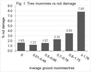 ModifiedHigbee_Siegel_TreeMummies-300x238