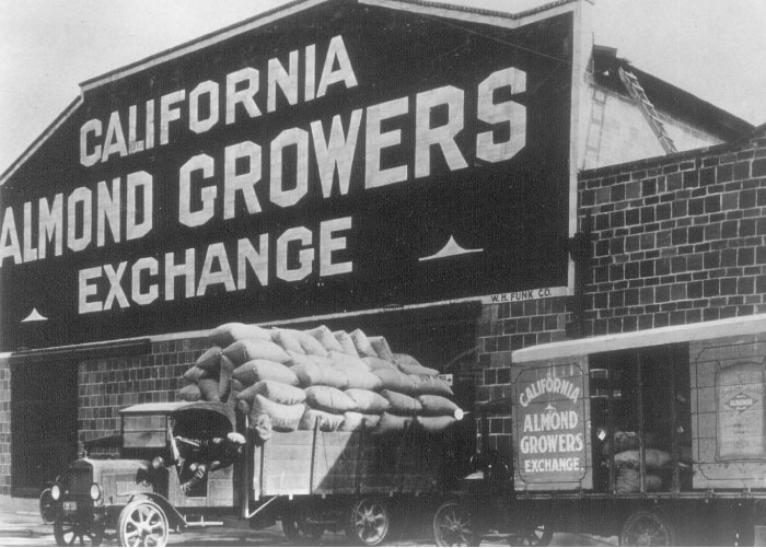 A black and white photo of bagged almonds getting loaded into a truck