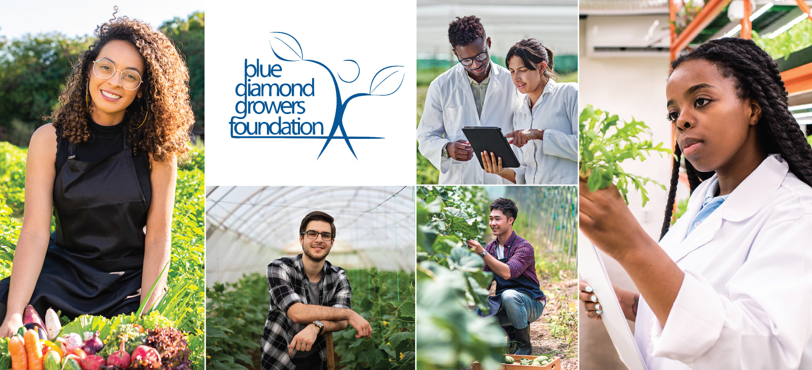 Collage of young people in agriculture