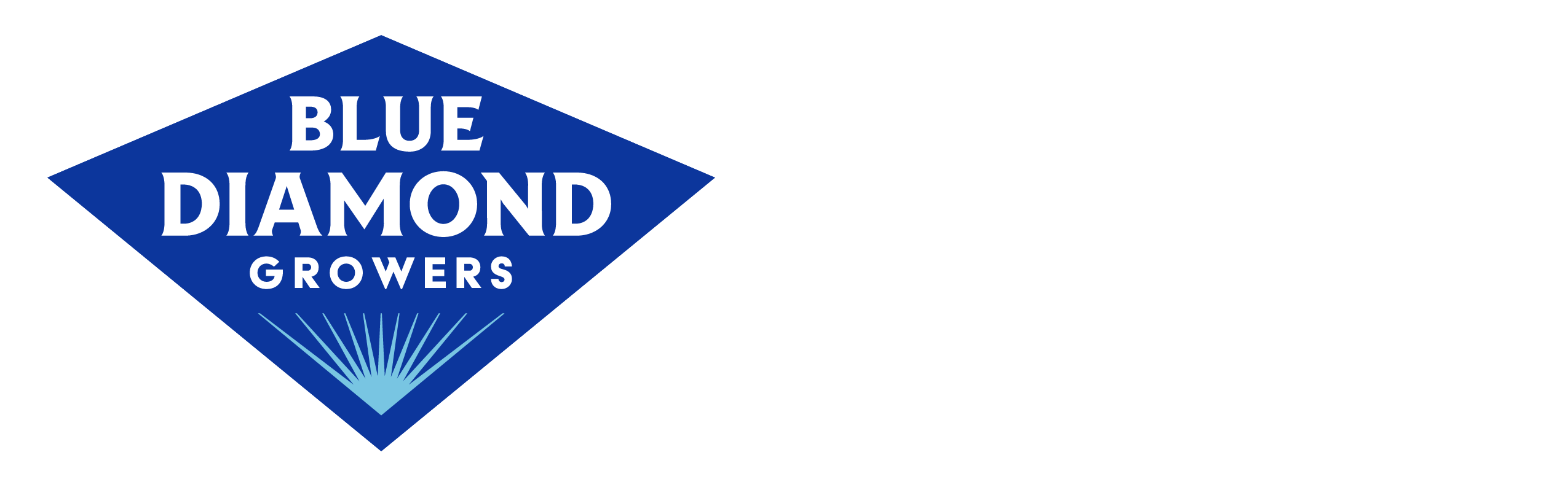 Blue Diamond Careers logo